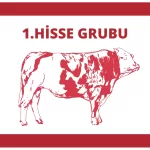 1.Hisse Grubu