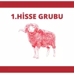 1.Hisse Grubu