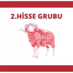 2.Hisse Grubu