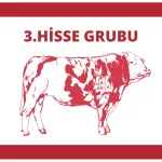 3.Hisse Grubu